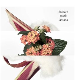 Scarlet Rhubarb Water - Eau de Cologne